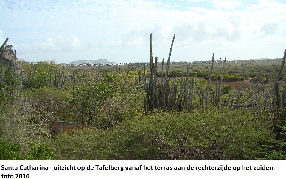 41. Santa Catharina uitzicht Tafelberg 2010
